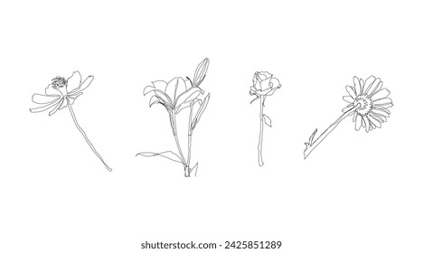 Abstract line artwork. Vector simple elegant line art design.