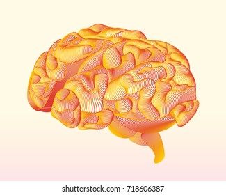 Abstract line brain on light background. Can use for medical templates. Vector illustration.