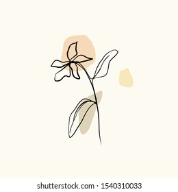 Abstract line continuous flowers. Contemporary drawing in modern cubism style. Botanic elements isolated on colorful pastel textures with shapes. Eco simple logo. 
