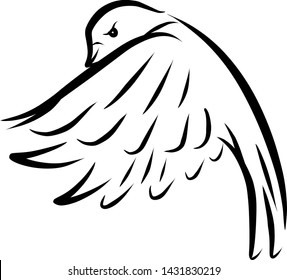 Abstract line design bird vector design logo