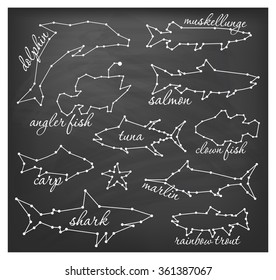 Abstract Line and Dot Fish Set Vector Illustrations
