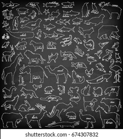 Abstract Line and Dot Savannah, Sea, Forest, Farm, Desert, Australian and Arctic Animals Set Vector Illustrations