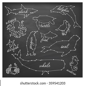 Abstract Line and Dot Sea Animals Set Vector Illustrations on Chalkboard