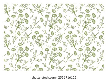 Abstract line drawn pattern. Leaf pattern. Vector collection for print, cards, packaging and other design with natural herbs.