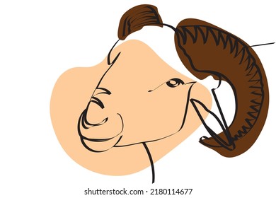 Abstract line head of sheep on white background.