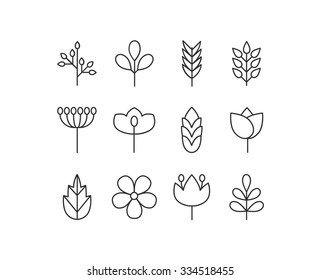 Abstract Line Icons, Vector Floral Icon Set Isolated On White Background