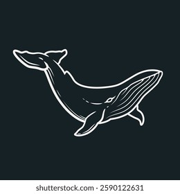 Abstract line illustration of a whale