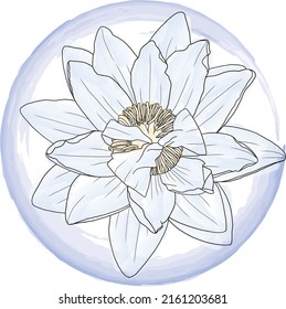 Abstract line of lotus flower on circle color paint background.