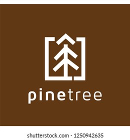 Abstract line Pine Tree logo icon vector template