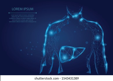 Abstract line and point human body with the liver. Healthcare, Science and Technology Vector Illustration