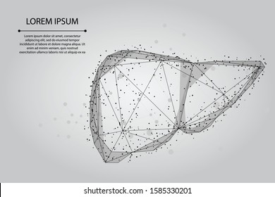 Abstract line and point human liver. Low poly Healthcare Vector Illustration