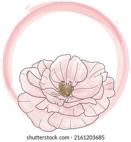 Abstract line of Rose flower in circle color paint background.