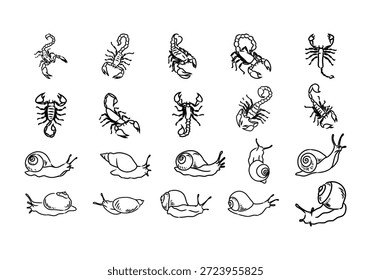 Linha Abstrata Escorpião E Caracol