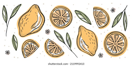 Abstract line set of lemon icons, isolated on white background. For web, print, product design. Doddle, contour. Vector hand-drawn flat illustration of Lemon slices, Fresh citrus and chopped lemon