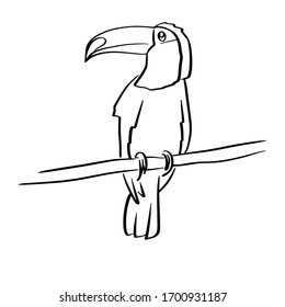 Pájaro tucán vector abstracto con pico enorme. Dibujo dibujado a mano.