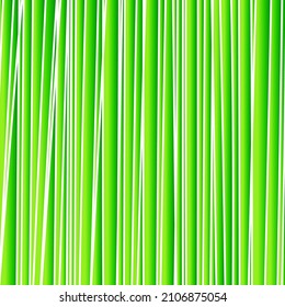 Abstract linear background. Green vector background. Chaotic background
