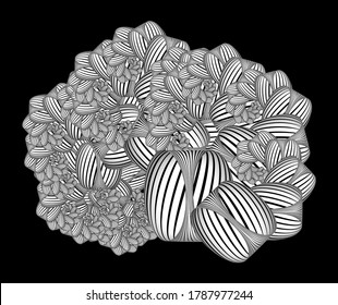 Abstract linear black and white Background. Stylized Seashells Image. High Saturated. Gradients Different Geometrical Shapes