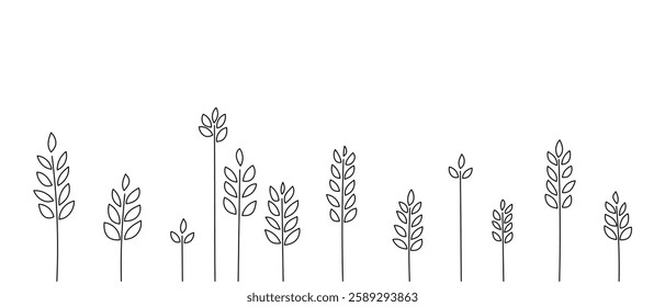 Abstract linear field of wheat, ears, lavender for coloring