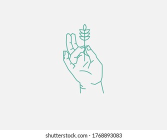 Abstract linear logo icon image of a hand holding a plant branch