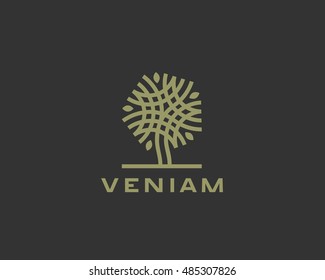 Design abstrato de ícone de logotipo de árvore vetorial linear. Símbolo sólido premium de luxo universal. Parque criativo natureza bio relaxar logotipo sinal spa.