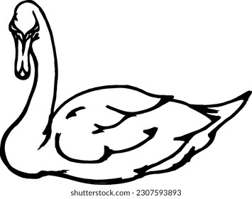 Abstract lineart of an elegant swan, isolated against white. Hand drawn vector illustration.