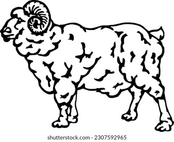 Abstract lineart of a fluffy sheep, isolated against white. Hand drawn vector illustration.