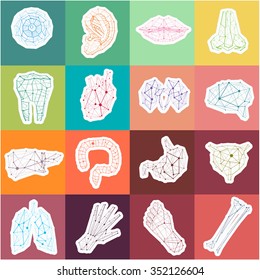 Abstract Lined Color Set of icons: Tooth, Foot, Bladder, Intestine, Nose, Ear, Brain, Stomach, Liver, Kidneys, Lungs, Heart, Hand, Eye, Lips and Bones. Medical Polygonal Symbols. 