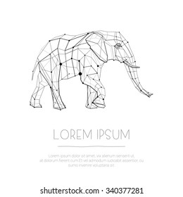 Abstract lined graphic geometric elephant for use in design for card, poster, banner, placard, brochures, wallpapers, web or billboard cover