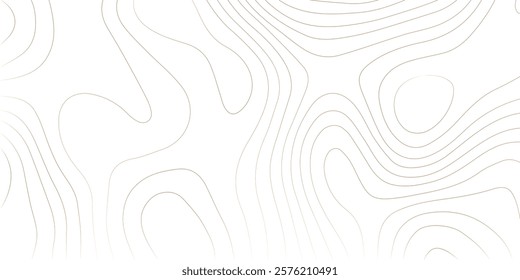 Abstract lines background. Contour maps. Topo contour map on white background. Abstract background with waves Geographic mountain relief.