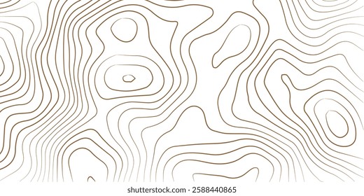 Abstract lines background. Contour maps. Topo contour map on white background. Abstract background with waves Geographic mountain relief.