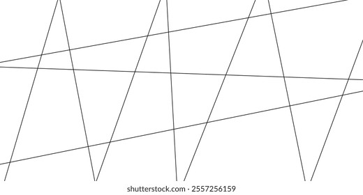 Abstract lines in black and white tone of many squares and rectangle shapes on white background. Metal grid isolated on the white background. nervures de Feuillet mores, fond rectangle and geometric.