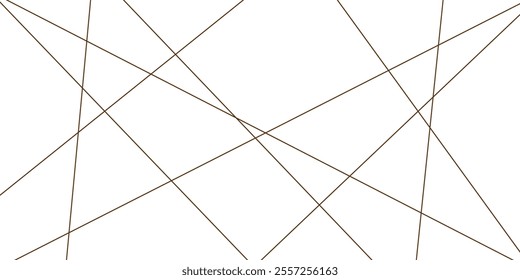 Abstract lines in black and white tone of many squares and rectangle shapes on white background. Metal grid isolated on the white background. nervures de Feuillet mores, fond rectangle and geometric.