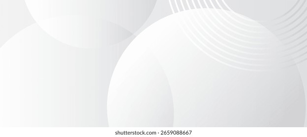 Abstract lines grey background with dynamic circle lines background abstract simple art.