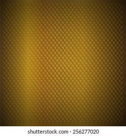 Abstract lines and metal mesh Pattern background, Vector, illustration. gold