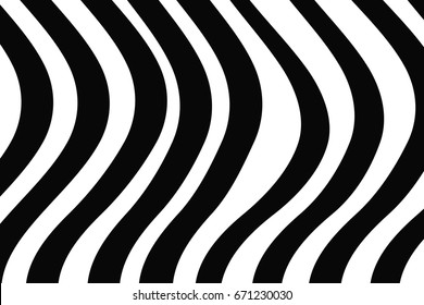 Abstract lines vector background. Zebra colors backdrop design