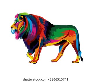 Abstract Lion from multicolored paints  Splash watercolor  colored drawing  realistic  Vector illustration paints