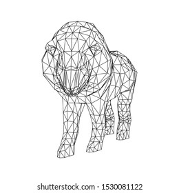 Abstract Lion as Triangular Line Art. Isolated Images.