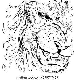 Abstract lion .white background.