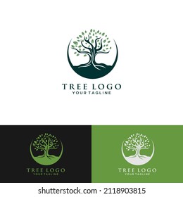 Abstract living tree logo design, roots vector - Tree of life logo design inspiration isolated on white background