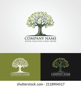 Abstract living tree logo design, roots vector - Tree of life logo design inspiration isolated on white background
