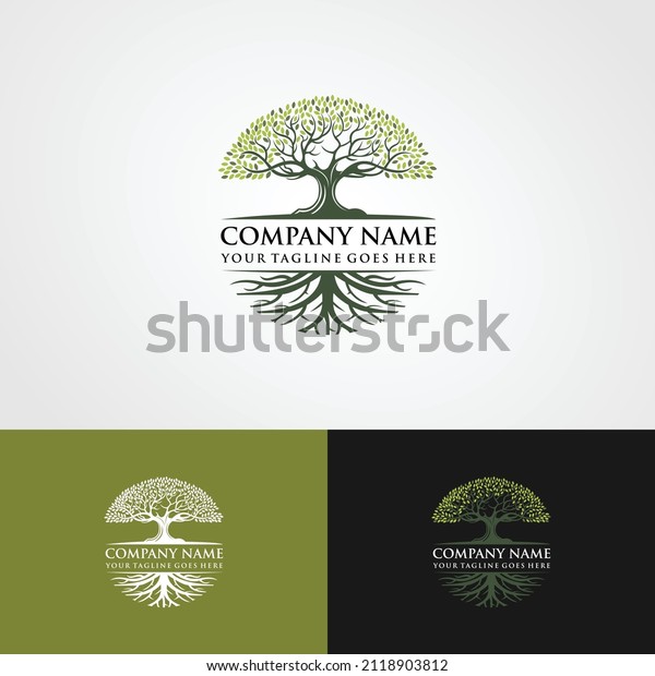 Abstract living\
tree logo design, roots vector - Tree of life logo design\
inspiration isolated on white\
background