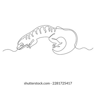 abstract Lizard, Gecko Continuous One Line Drawing