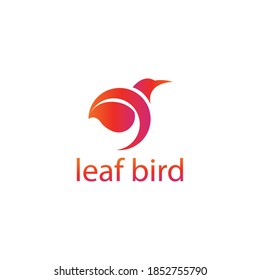 abstract logo leaves, bird illustration with color vector design