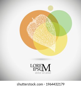 Abstract logo physalys. Vector illustration