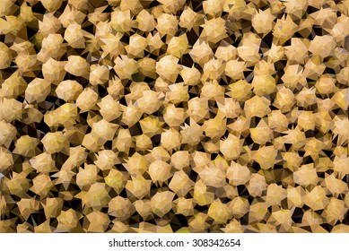 Abstract longan triangular low poly style vector background, Vector illustration