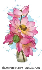 Abstract of lotus flower arrangements with color splashed on white background.