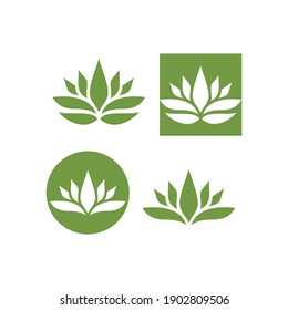 Abstract lotus  flower logo design template vector design
