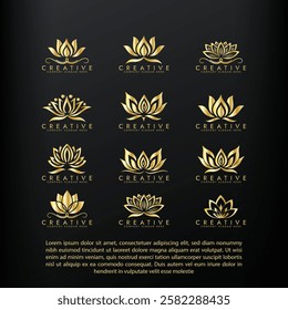 Abstract lotus icon set vector design, Stylized lotus flower logo combination design