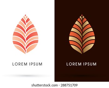 Abstract Lotus, Leaf shape, graphic vector.