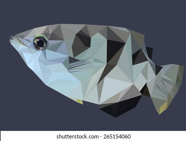 Abstract Low Poly Fish, Archer fish - Vector Illustration